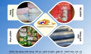 CÔNG TY TNHH VẬN CHUYỂN QUỐC TẾ TIẾN VIỆT