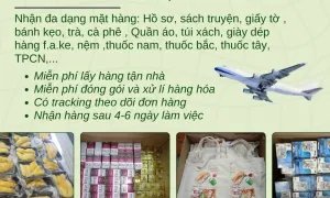 dịch vụ gửi hàng đi MỸ VÀ CANADA giá rẻ tại Tiến Việt