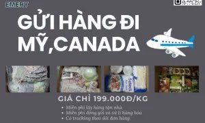 Gửi hàng không khó - Có EMERY ngay