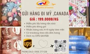 Gửi hàng đi Mỹ và Canada giá rẻ uy tín