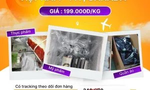 Gửi hàng đi Mỹ & Canada giá rẻ - uy tín tại TVE