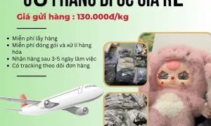 Vận chuyển hàng đi Úc giá siêu rẻ chỉ có tại Tiến Việt Express