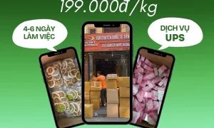 Em nhận gửi hàng đi Mỹ và Canada giá rẻ
