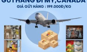 Gửi hàng đi Mỹ và Canada giá ưu đãi tại EMERY