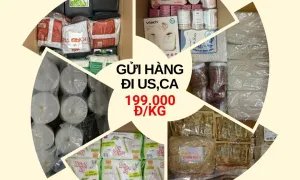 Dịch vụ vận chuyển hàng đi Mỹ và Canada giá rẻ uy tín