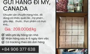 TIẾN VIỆT EXPRESS NHẬN GỬI HÀNG ĐI MỸ, CANADA  GIÁ CHỈ 209.000Đ/KG