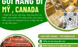 Nhận gửi hàng đi Mỹ , Canada giá rẻ uy tín