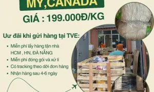 Gửi hàng đi nước ngoài gửi ngay Tiến Việt