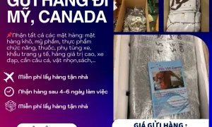Gửi hàng đi Mỹ & Canada gửi Tiến Việt đơn giản