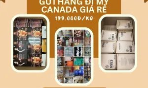 Dịch vụ gửi hàng đi Mỹ , Canada nhanh chóng uy tín
