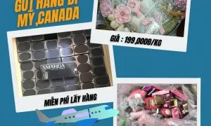 Gửi hàng từ Việt Nam đi Mỹ, Canada tại TVE