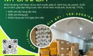 Gửi hàng đi Mỹ và Canada tại Tiến Việt Express chất lượng , nhanh chóng