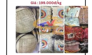 Đơn hàng lớn đơn hàng nhỏ gửi đi Mỹ, Canada giá siêu rẻ