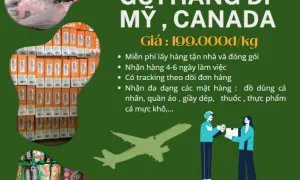Em chuyên nhận gửi hàng đi Mỹ và Canada giá rẻ nhanh chóng