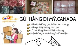 Nhận gửi hàng đi Mỹ, Canada giá rẻ 199.000đ/kg