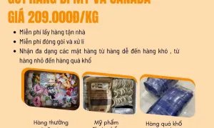 Gửi hàng đi Mỹ, Canada giá rẻ , bay nhanh chỉ 209.000đ/kg
