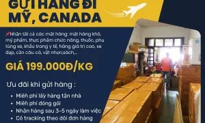 Tiến Việt Exptress - Nhận gửi hàng đi Mỹ, Canada