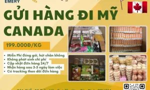 Gửi hàng đi Mỹ và Canada tại EMERY