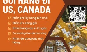 Gửi hàng đi Mỹ và Canada an toàn 100%