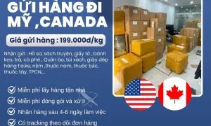 Tiến Việt Express chuyên nhận gửi hàng đi Mỹ và Canada