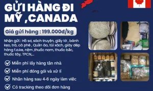 Gửi hàng đi Mỹ, Canada giá rẻ bất ngờ