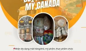 Tiến Việt Express nhận gửi hàng đi Mỹ và Canada