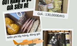 Em nhận gửi hàng đi Úc giá siêu rẻ siêu nhanh