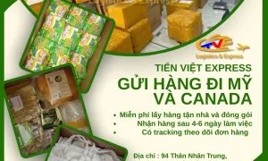 Vận chuyển hàng đi nước ngoài giá tốt liên hệ TVE