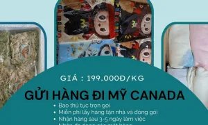 Gửi hàng đi Mỹ, Canada giá 199.000đ/kg giá rẻ uy tín nhanh chóng tại TVE