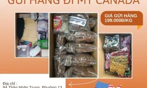 Gửi hàng đi Mỹ Canada và hơn 200 quốc giá