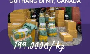 Gửi hàng đi Mỹ , Canada cùng Tiến Việt Express siêu rẻ