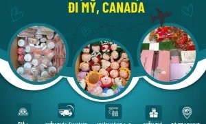 Gửi hàng đi Mỹ , Canada nhanh chóng tiết kiệm