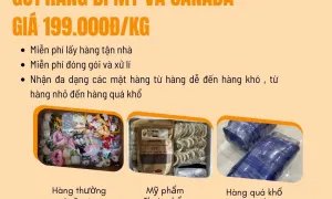 Gửi hàng đi Mỹ, Canada giá rẻ tại Tiến Việt Express.
