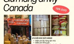 Gửi hàng từ Việt Nam sang Mỹ, Canada - Giá chỉ 199.000đ/kg