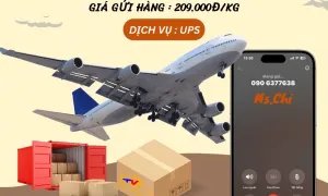 Gửi hàng đi Mỹ, Canada giá rẻ chỉ 209.000đ/kg